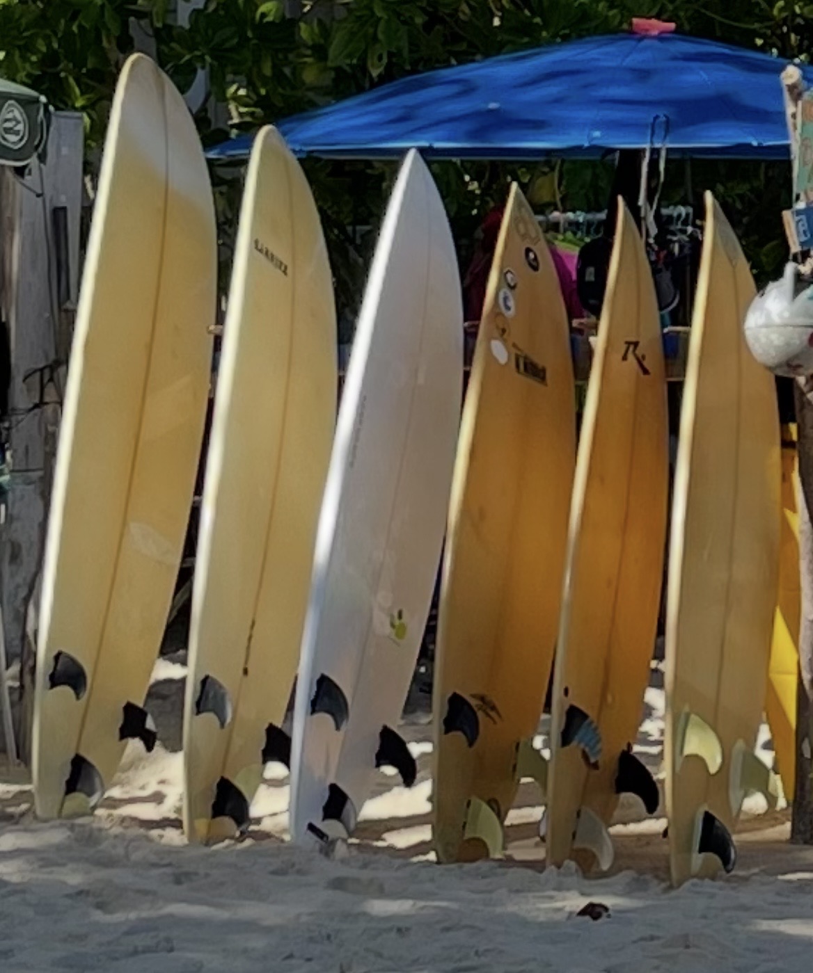 Surfboard Rental